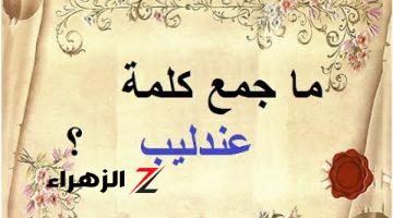 “طلاب كتير رسبوا بسببها” جمع كلمة «عندليب» في اللغة العربية التي حيرت جميع طلاب الثانوية العامة.. اعرف جمعها من هنا