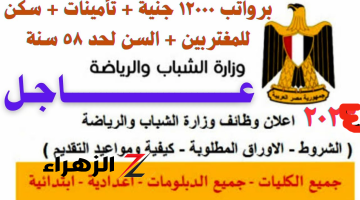 لو سنك لحد 45 سنة وظيفتك موجودة هنا.. وظائف وزارة الشباب والرياضة بمرتبات تصل ل 9000 جنيه دا غير الحوافز!! ماتفوتش الفرصة وقدم حالا