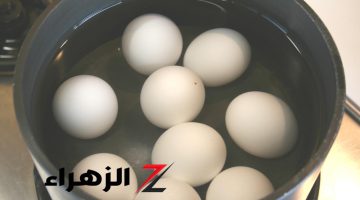 احذر تغسل البيض قبل السلق.. الطريقة الصحيحة لطهيه بدون مخاطر!