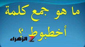 مستحيل تخطر على بالك!!… ما هو جمع كلمة اخطبوط في اللغة العربية معلمي اللغة احتاروا فيها!!