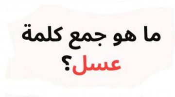 “لو جاوبت عليه تبقى عبقري”..ماهو جمع كلمة عسل في اللغة العربية الأصيلة.. دكتور جاوبني عليها!!