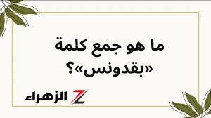 سؤال صعب طلبة الثانوية العامة هيتجننوا بسببه! .. ما هو جمع كلمة بقدونس في المعجم العربي؟! .. شوف المدرسين أجابوا ازاي