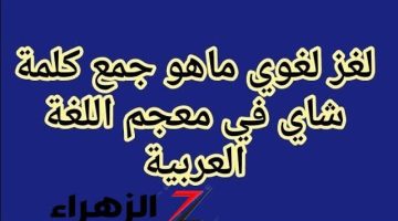 “للنوابغ فقط! “… السؤال الذي حير الطلاب ما هو جمع كلمة شاي في المعجم العربي الفصيح .. إجابة ولا كانت تخطر علي بال المعلمين