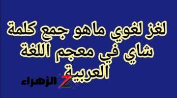 لغز حير الجميع.. ما هو جمع كلمة شاي في اللغة العربية دكتور جماعى يصدم الجميع باجابة غريبة.. مش هتخطر على بال حد..!! 