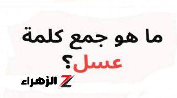 “أبكي الألاف من طلاب الثانوية!”… هل تعلم ما هو جمع كلمة عسل في اللغة العربية؟!.. تاخد لقب بروفيسور لو عرفت تحلها!!