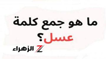 “لغز للعباقرة فقط!”…  هل تعلم ما هو جمع كلمة عسل في اللغة العربية!.. تبقى عبقري لو عرفت تحلها!!