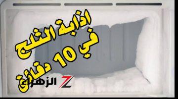 «فكرة بمليون جنيه»،. تخلص من الثلج المتراكم في الفريزر لحمايتها من التلف وللحفاظ على الفريون بمكون يوجد في مطبخلط!! 