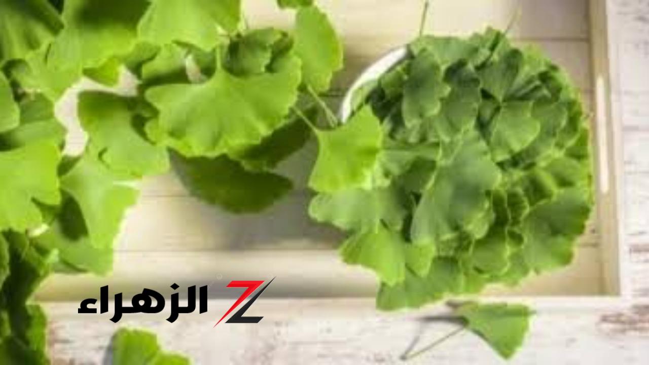 نازله من السما عشانك!"…معجزة ربانية موجودة في كل بيت عربي ...