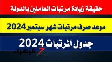 عاجل.. المالية تعلن موعد صرف رواتب سبتمبر 2024