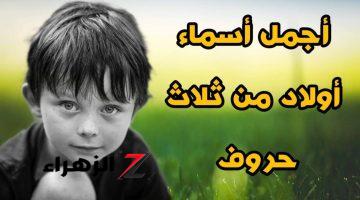 أسماء أولاد من 3 أحرف مميزة ومعانيها روعة .. اختاري اسم طفلك من بينها !!