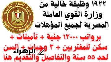 مرتباتهم متقلش عن 11 ألــف وبدون خبـــرة! وظائف بنك مصر جميع المؤهلات.. الحق قدم الفرصة بتيجي مرة واحدة بس