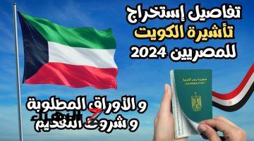 جهز باسبورك وسافر.. الكويت تعلن فتح تأشيرة العمل للمصريين 2024 بهذه الامتيازات| اعرف الشروط