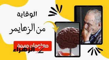 أفضل واقي للزهــايمر.. فاكهة تحميك من الزهايمر وتقضي على النسيان وتنشط الذاكرة!! فوائد عديدة لهذه الفاكهة