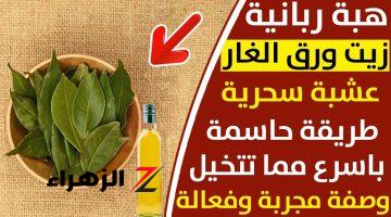 من غير ريجيم ولا رياضة.. مشروب ورق الغار في التخلص من الوزن الزائد والكرش والأجناب في 3 أيام.. طريقة الاستخدام