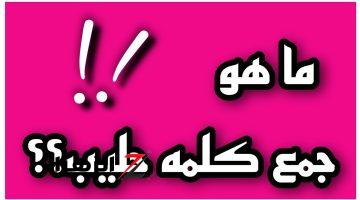 ملايين الطلاب اتحيرت فيها .. ما هو جمع كلمة حليب في اللغة العربية التي أثارت الجدل بين المعلمين؟.. الإجابة صادمة للملايين!!