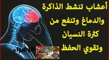 “حكمه قالوها زمان حافظ على عقلك قبل فوات الاوان” ..  ثلاث عوامل تزيد من خطر الإصابة بمرض الزهايمر…اعرفها وخلي بالك!!