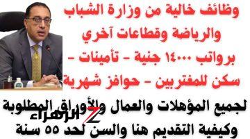 “برواتب تصل لــ 11 بـاكو” وظائف وزارة الشباب والرياضة برواتب مجزية وتأمين طبي واجتماعي!! تعرف على الشروط وســارع بالتقديم