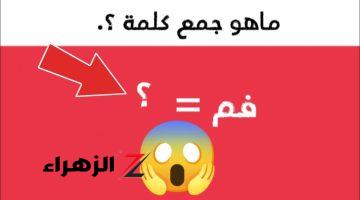 فشل فيه ملايين الطلاب.. ما هو جمع كلمة “فم” في اللغة العربية؟ | واختلاف حاد بين الخبراء