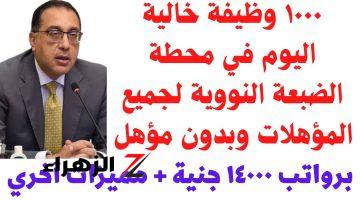 الراتب بيوصل لــ 25 ألف جنيه.. وظائف خالية اليوم في محطة الضبعة النووية!! فرصة متتعوضش قدم دلـوقت