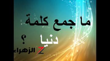 “محدش نجح بسببها”…ماهو جمع كلمة الدنيا في اللغة العربية.. الإجابة جاءت غير متوقعة من خبراء اللغة العربية!!