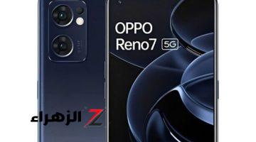 “معالج Dimensity 900 5G قوي وجبار”.. سعر ومواصفات Oppo Reno 7 5G المميز بأدائه السريع والكاميرا والبطارية العملاقة وبسعر مغري