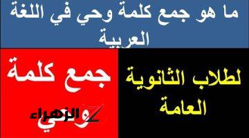 لغز للاذكياء فقط .. اكتشف إجابة سؤال ما هو جمع كلمة وحي في اللغة العربية؟.. السؤال الذي سقط جميع الطلاب وحير المدرسين