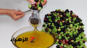 ضاع عمرك في شراء الزيت |.. أسهل وأسرع طريقة لتحضير زيت الزيتون في المنزل مستحيل تشتريه مرة أخرى