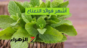 تعرف على فوائد ” النعناع الأخضر ” الصحية المذهلة .. أبرزها علاج الصداع !!