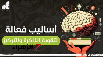 «هتندمي انك مكنتيش تعرفيها من زمان»… اقضي على النسيان واصبح ذكياً بمنتهى الملاحظة.. هذه الطرق السحرية للتذكر وزيادة الذكاء فقط اتبعها وستصبح ذاكرتك أقوى ثلاث مرات