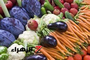 “الطماطم رخصت يا بشر”…أسعار الخضروات والفاكهة اليوم الأربعاء 2/10/2024 بالأسواق المصرية