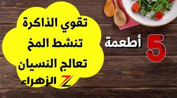 “قوم دور عليهم وهاتهم”.. 15 نوع طعام بسيط يحدث ثورة في قدرات عقلك وإبداعك بسرعة خيالية.. شاهد ماهو؟