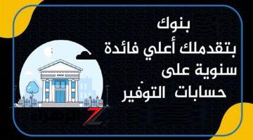 بفائدة تصل 30%  .. أعلى عائد على حسابات التوفير في مصر 2024 بعد قرار المركزي الأخير