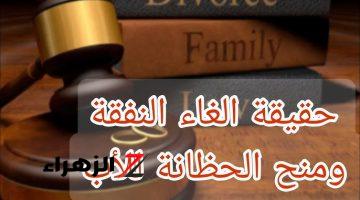 “خبر صادم الحضانة هاتبقى للأب!”.. ما حقيقة التعديلات الجديدة في قانون الأسرة الجزائري 2024؟.. الحكومة توضح؟!!