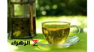 احذر اضرار شرب الشاي الأخضر على الريق على معدة فارغة يوميا قد يعرض حياتك للخطر