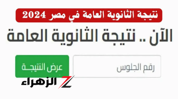 الأن.. رابط الاستعلام عن نتيجة الثانوية العامة الدور التاني 2024 برقم الجلوس بعد اعتمادها رسميًا