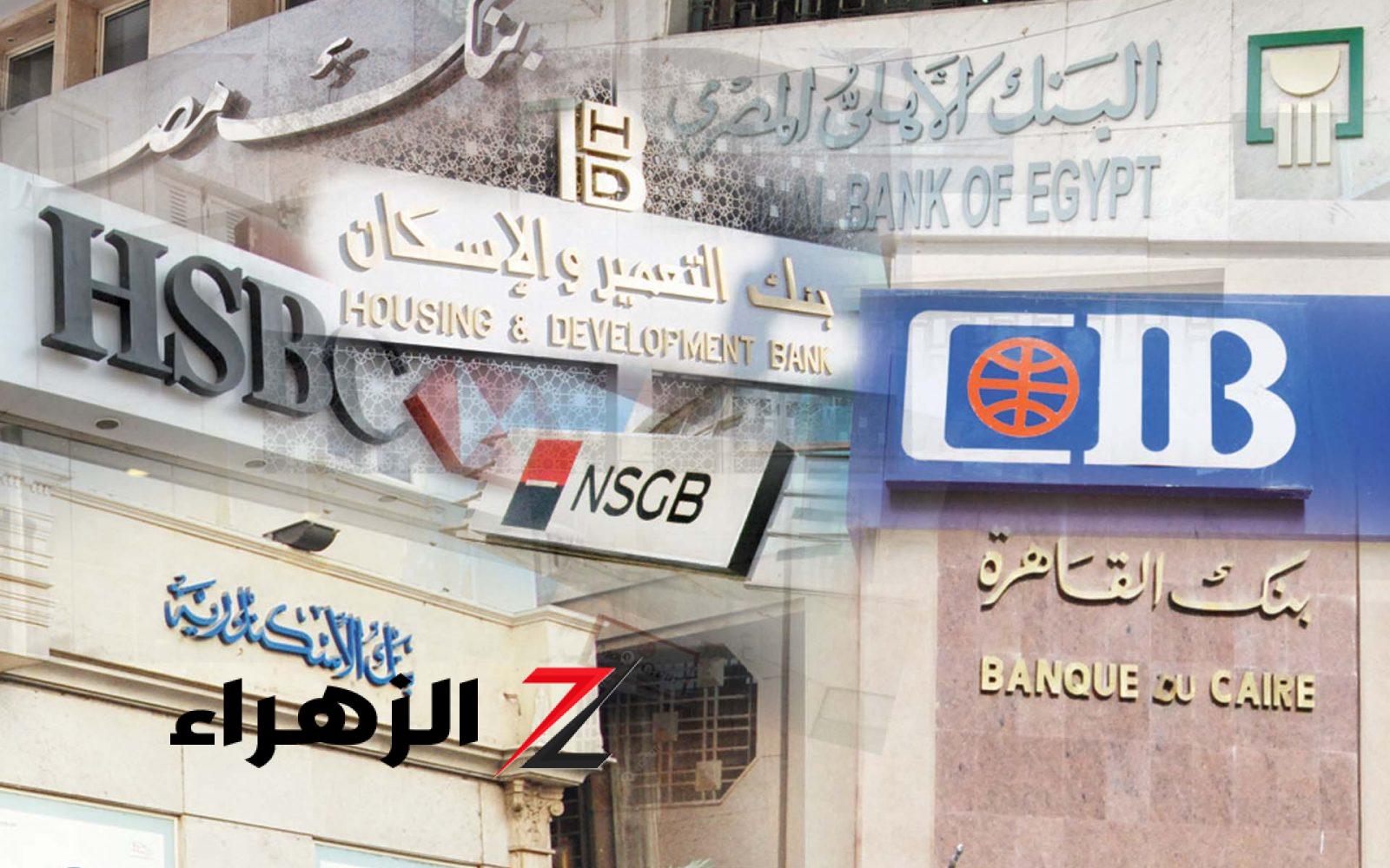 “النسبة زادت”.. تفاصيل طرح أعلى شهادة ادخار سنوية في مصر