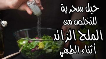 «مش هترميه تاني».. تعالي أقولك على طرق سحرية للتخلص من الملح الزائد بالطعام في أقل من ثواني