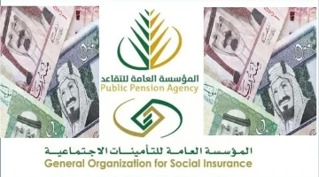 التقاعد المبكر للمعلمين والمعلمات في السعودية خطوات التقديم وأهم الشروط المطلوبة