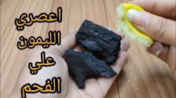 ″هتشيل سواد السنين″.. حطي الليمون على الفحم وتخلصي من كل هذه المشاكل.. “فكرة بمليون جنيه”