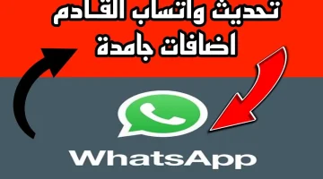 تحديث واتساب الجـديد باضافــات جـامدة هتبهرك.. اعرفها قبل الجميع وخليك أول واحــد يحدث