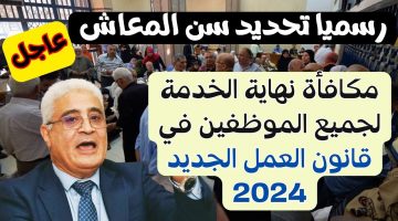 «خلاص القرار بقى رسمي» .. الحكومة تكشف مفاجأة للموظفين بخصوص مكافأة نهاية الخدمة وسن المعاش الجديد