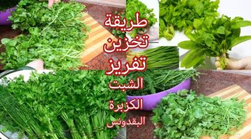 “فلاح قالي على السر”!!.. طريقة تخزين البقدونس والشبت في الفريز من السنة للسنة| هيفضل طازة وفرش زي ما جبتيه!!