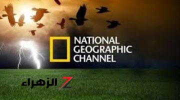 بجودة عالية .. تردد قناة ناشيونال جيوغرافيك الجديد 2024 National Geographic HD عبر كافة الأقمار الصناعية