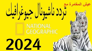 نزلها وعيش المغامرة… تردد قناة ناشيونال جيوغرافيك 2024 على القمر الصناعي نايل سات اكتشف العالم من حولك