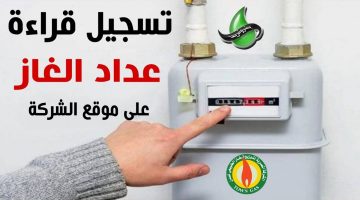 “بنفسك من البيت”.. خطوات تسجيل قراءات عداد الغاز لشهر سبتمبر 2024 شركة بتروتريد