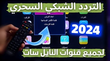 ضغطة زرار… طريقة حصرية لتنزيل جميع قنوات نايل سات 2024 بتردد واحد في لمح البصر