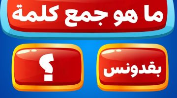 عباقرة اللغة فين.. ما جمع كلمة بقدونس التي يبحث عنها الملايين؟ حيرت 99% من الطلاب