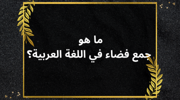 هل تعلم ما هو جمع فضاء في اللغة العربية التي يبحث عنها الملايين؟ .. 99% من الطلبة ميعرفوهاش