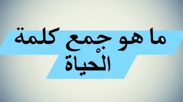 سؤال أبكي ملايين الطلاب .. ما هو جمع كلمة «الحياة» في اللغة العربية؟.. إجابة لم يتوقعها أحد من الطلاب والمعلمين