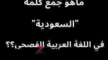 “معجزة من معجزات اللغة العربية”.. هل تعلم ما هو جمع كلمة السعودية التي حيرت ملايين الطلاب والمدرسين حول العالم.. الاجابة ستفاجئك!!